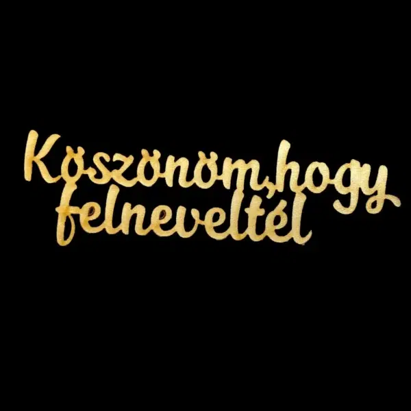 Köszönöm, hogy felneveltél felirat - 15cm