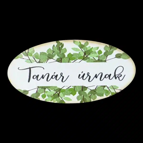 „Tanár úrnak” – ovál – 8cm